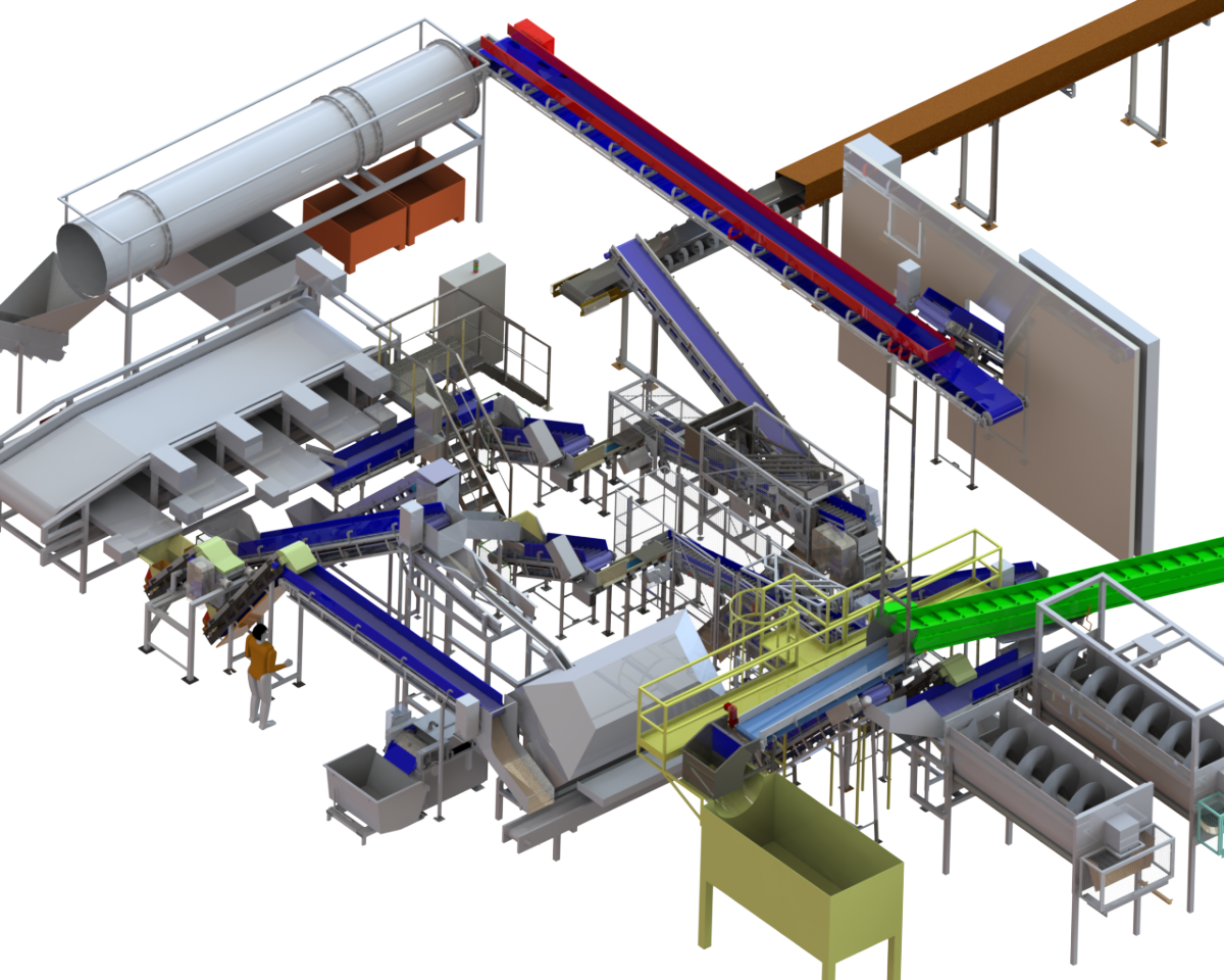 Ligne Calibrage, Ebouttage, Tronçonnage, Pelage, Tri